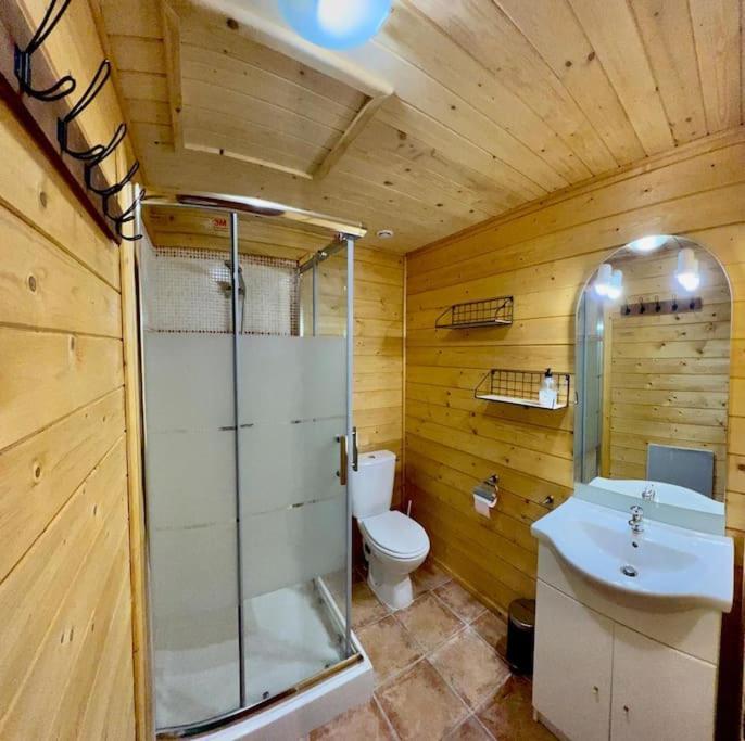 Chalet 6B Dans Les Pyrenees Proche D'Andorre Л'Оспитале-пре-л'Андорр Экстерьер фото